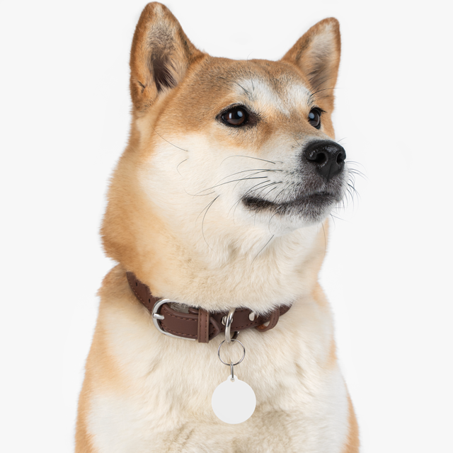 Pet Tag - Thumbnail Image