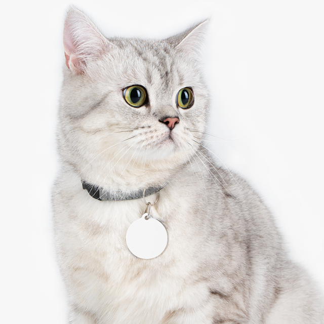 Pet Tag - Thumbnail Image