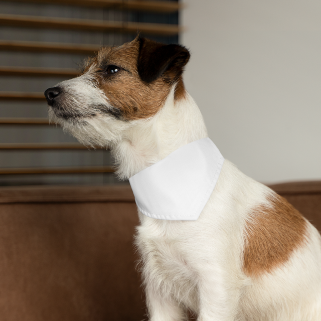 Pet Bandana Collar - Thumbnail Image