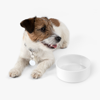 Pet Expressions Personalized Small Dog Bowl