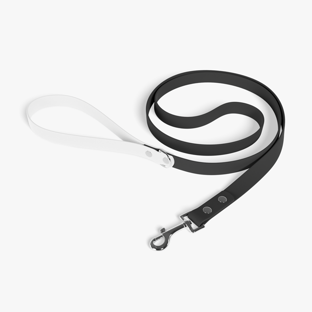 White dog clearance leash