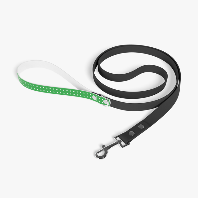 Personalized Dog Leash Heavy Duty Custom Printed