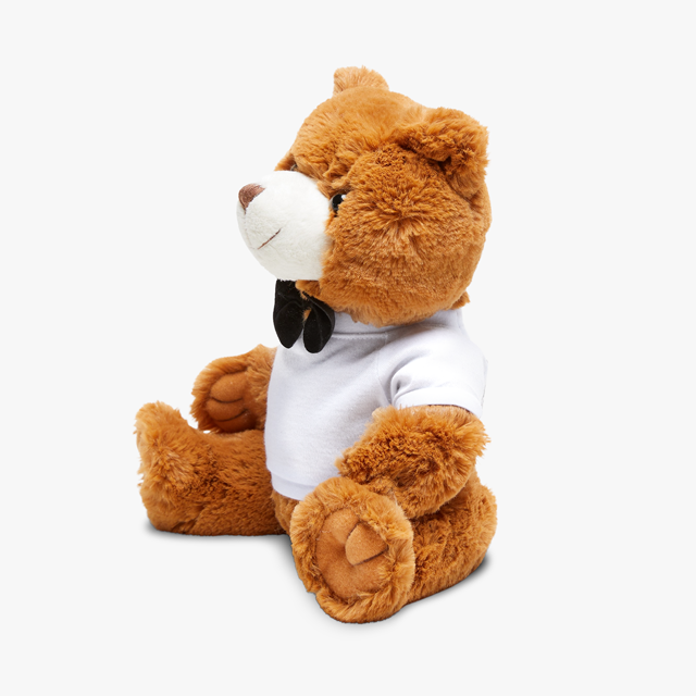 Print on Demand Plush Teddy Bear with Tee – CustomHappy