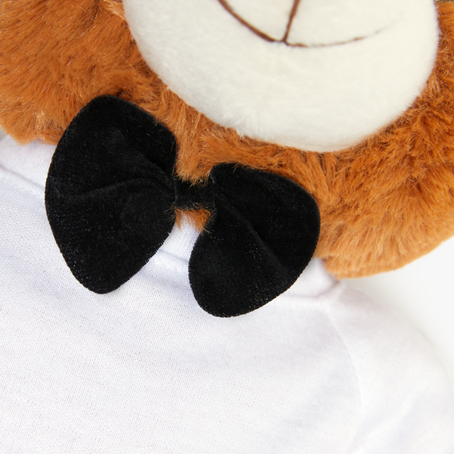 Teddy Bear with T-Shirt - Thumbnail Image