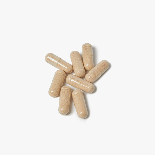 Brain Support Complex Supplement (60 Capsules) - Thumbnail Image
