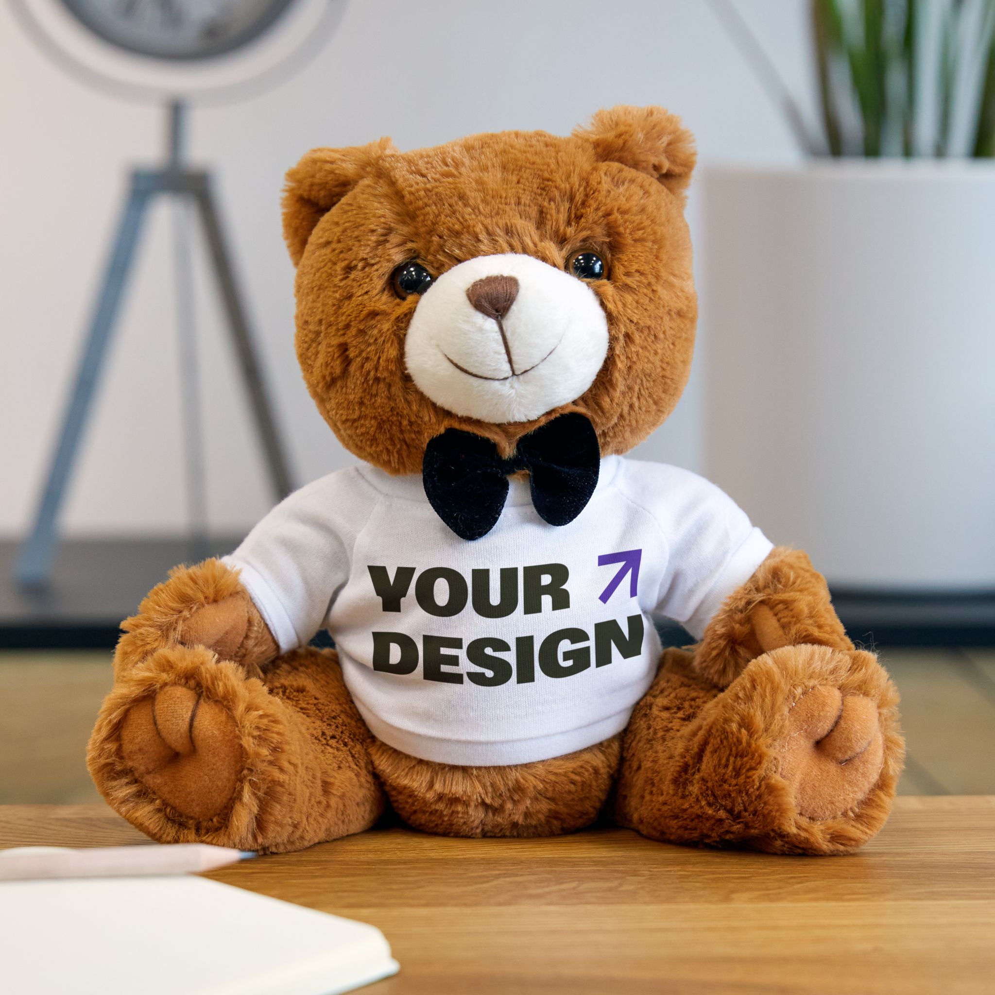 Teddy Bear with Custom T Shirt Printify