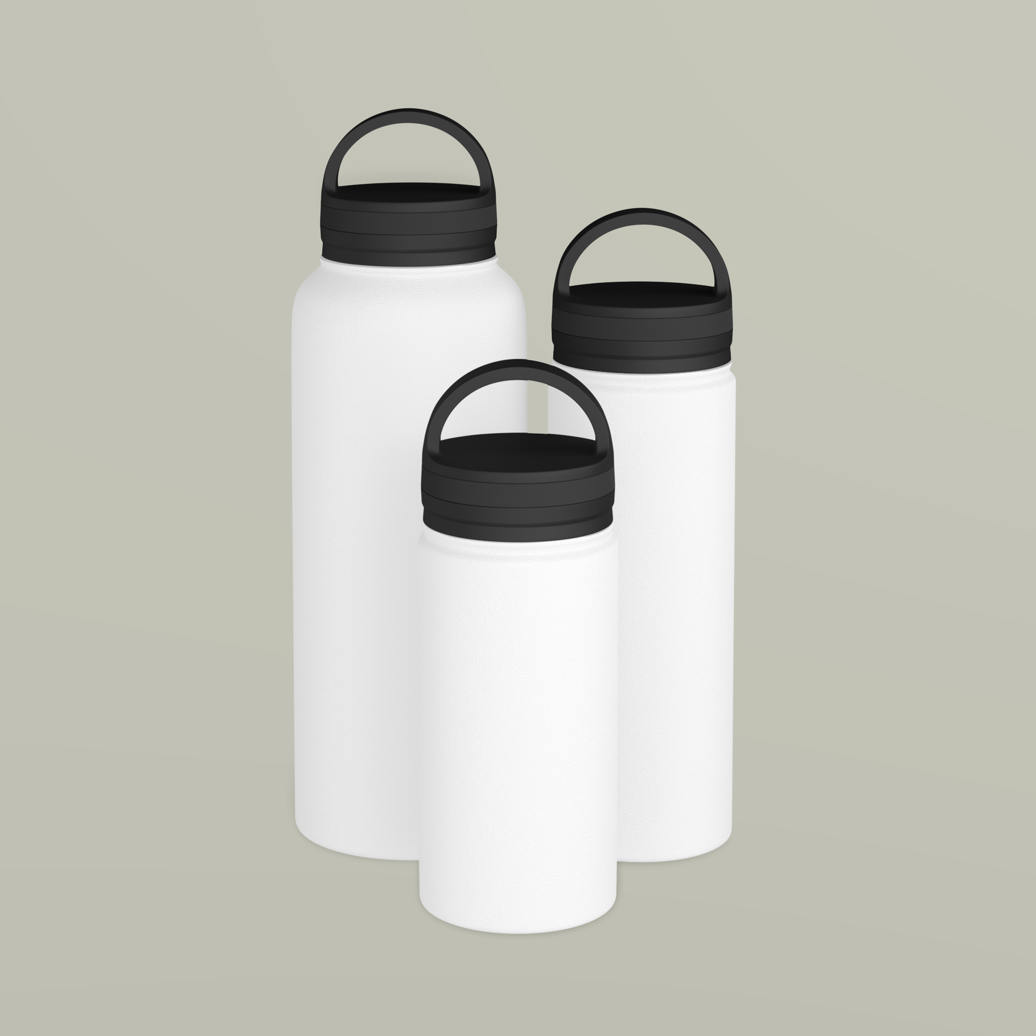 Stainless Steel Water Bottle, Handle LidDesign