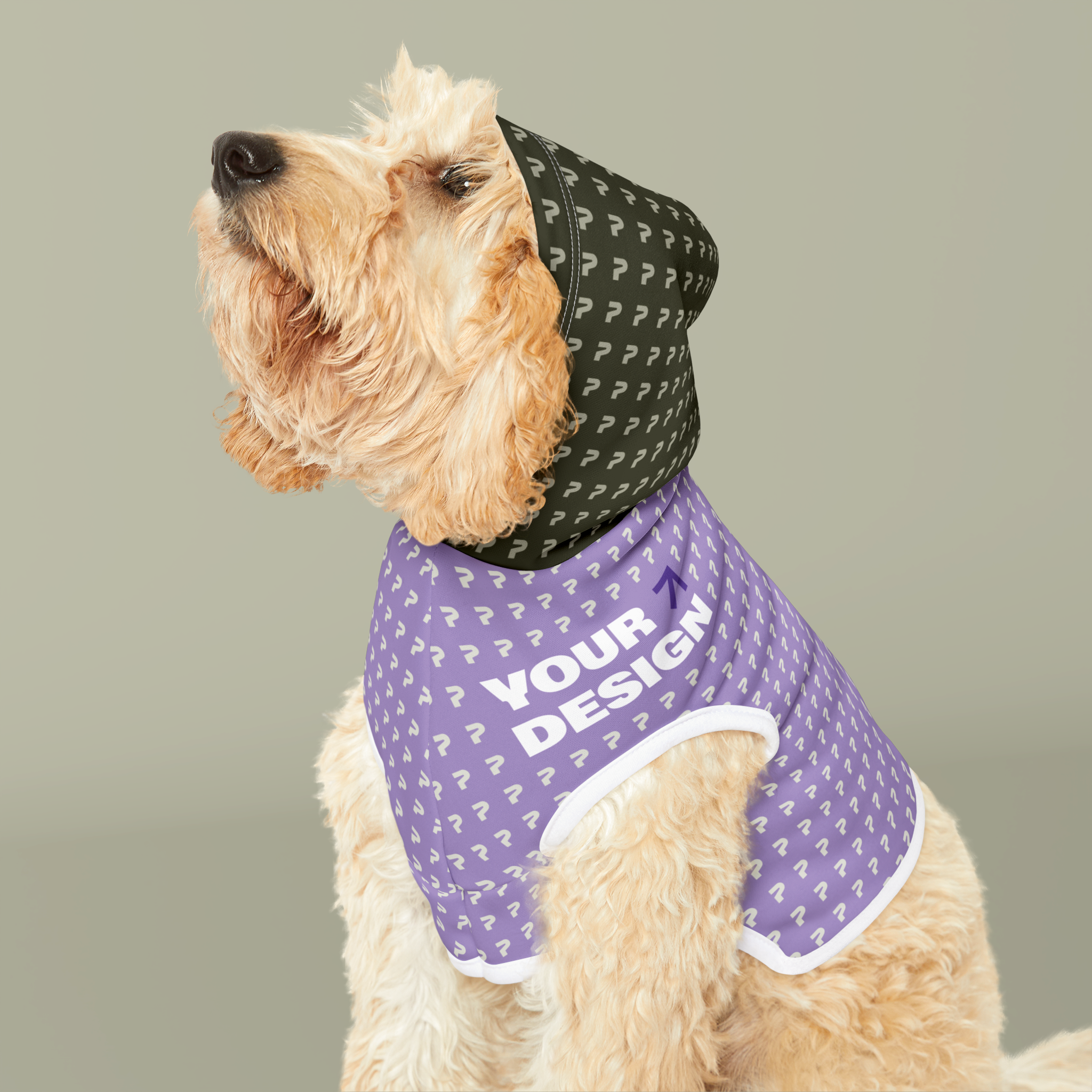 Pet Hoodie