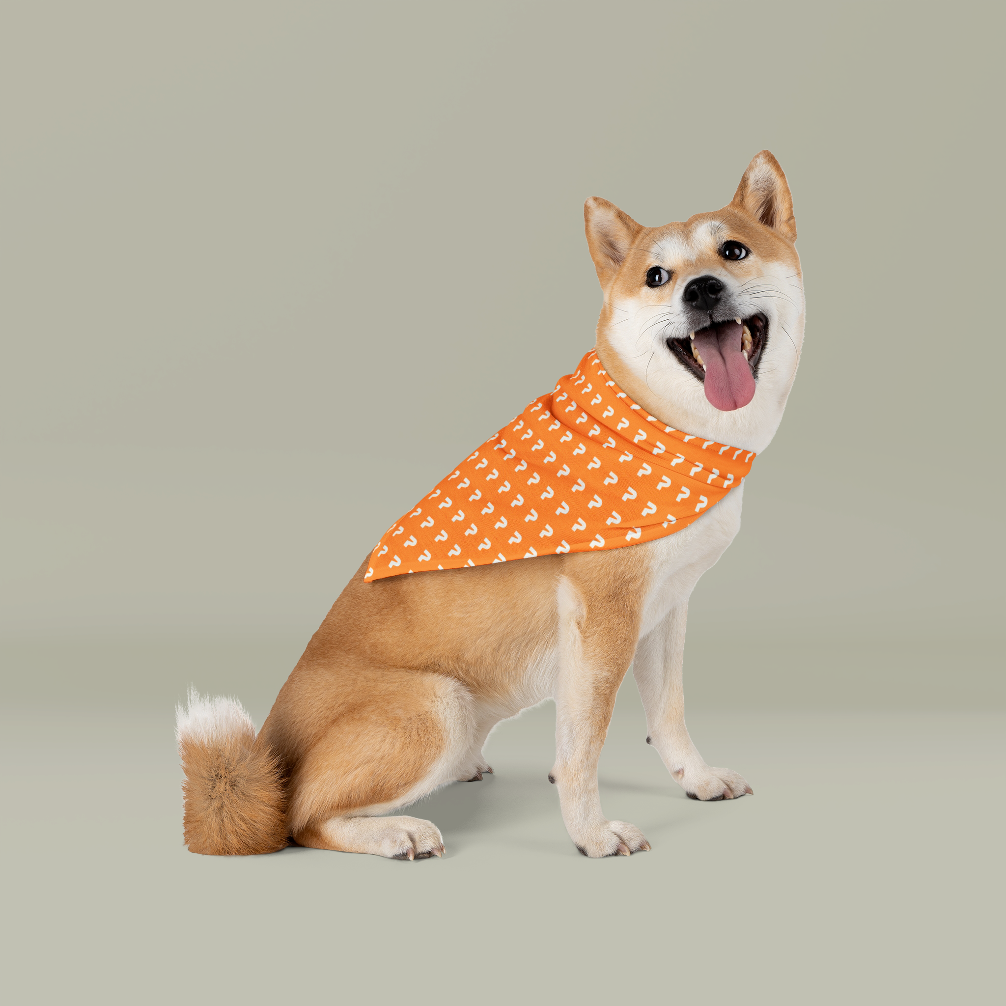 Pet Bandana