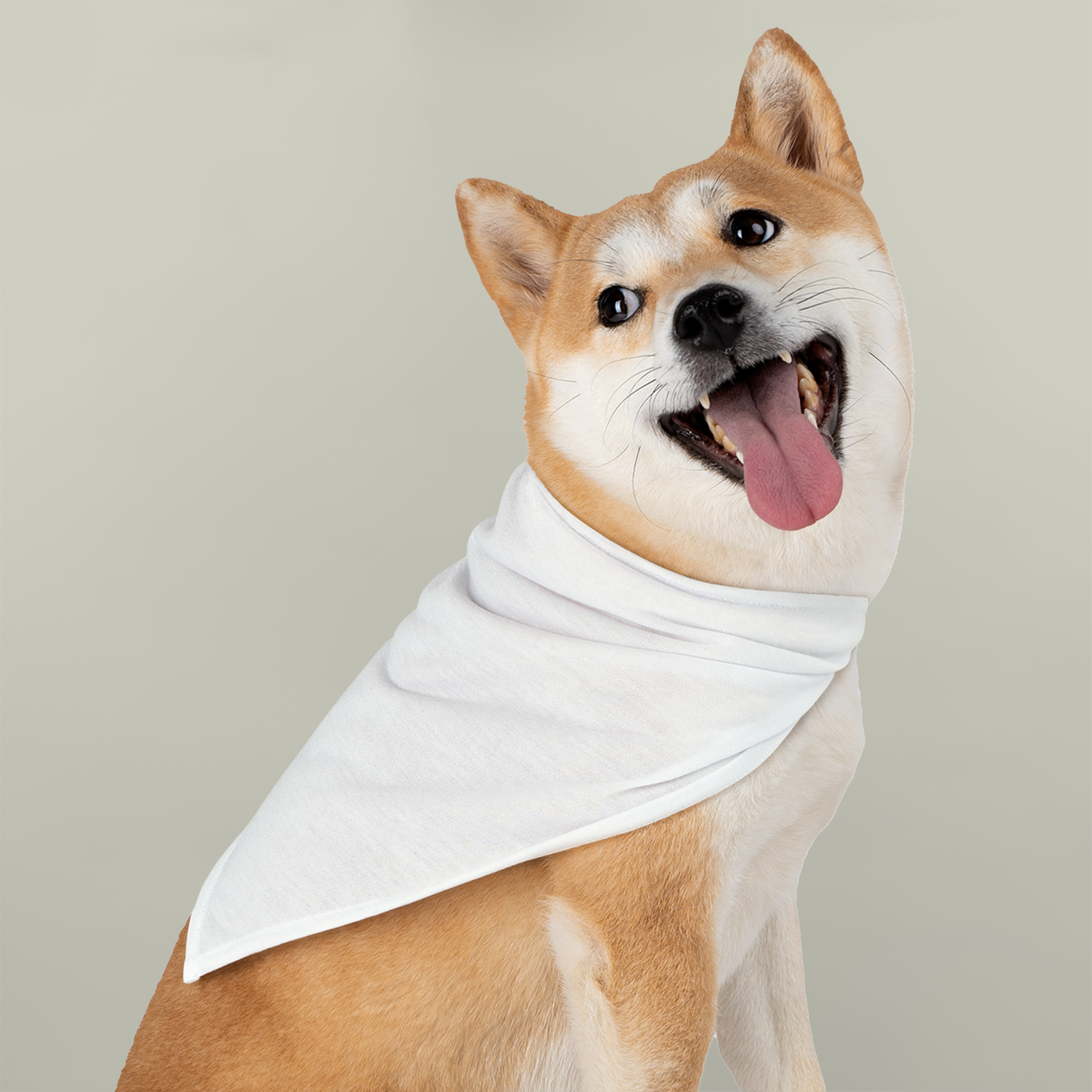 Pet BandanaDesign