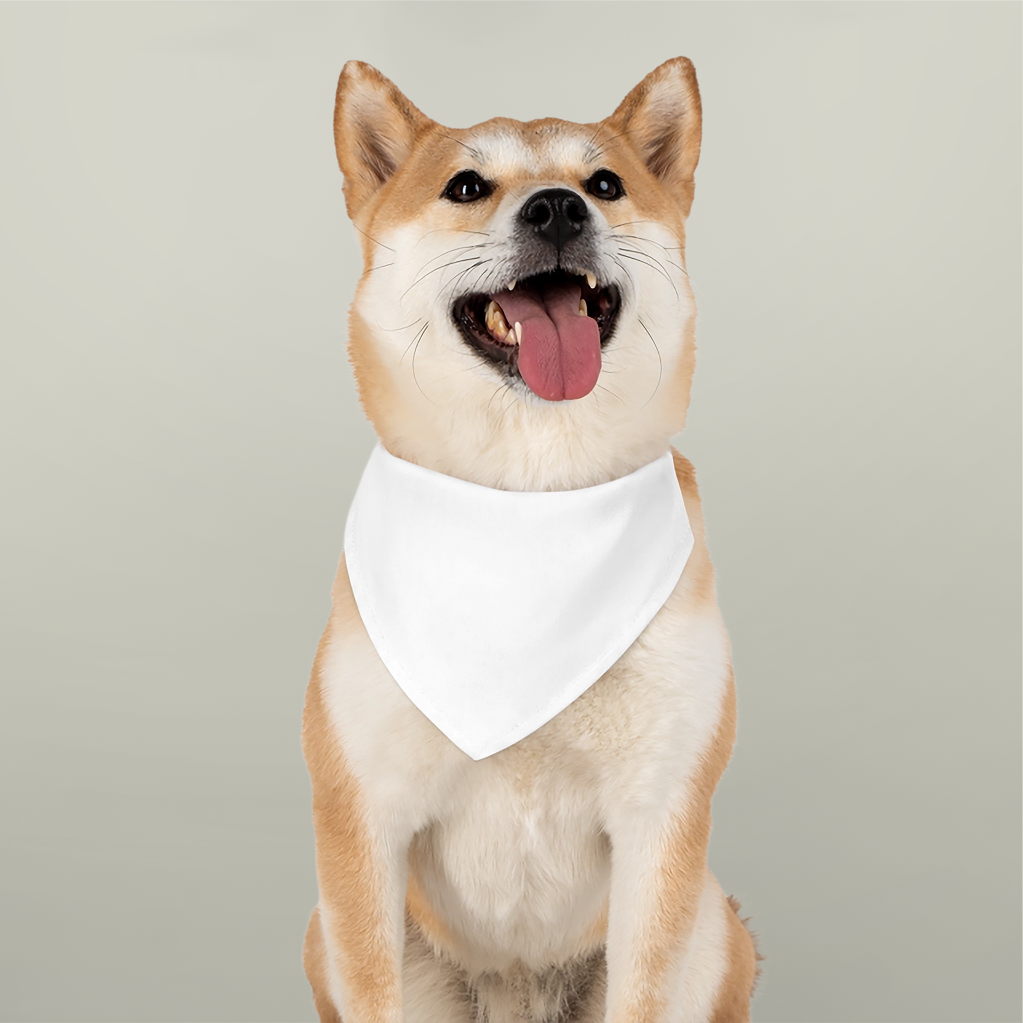 Pet Bandana CollarDesign