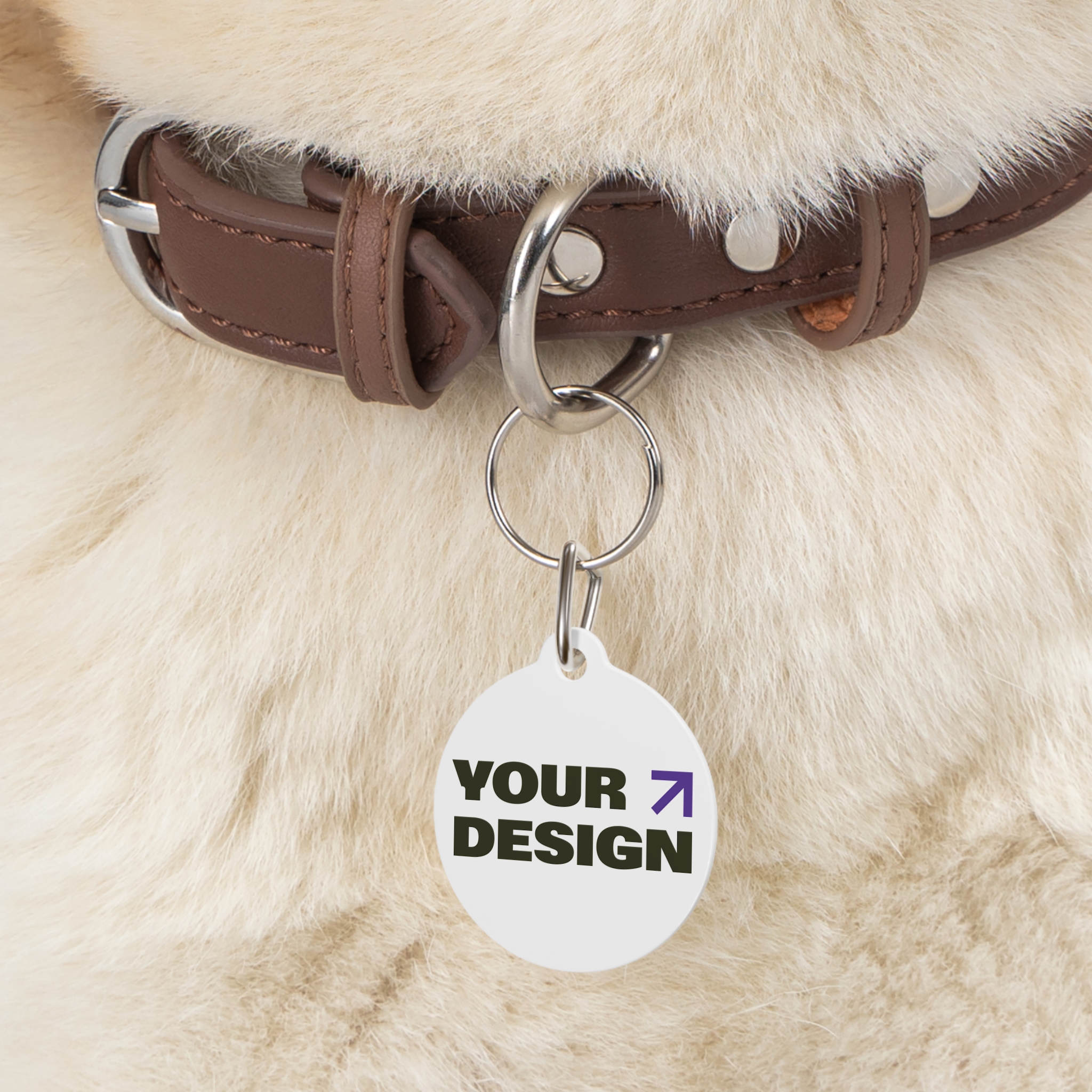 Pet Tag