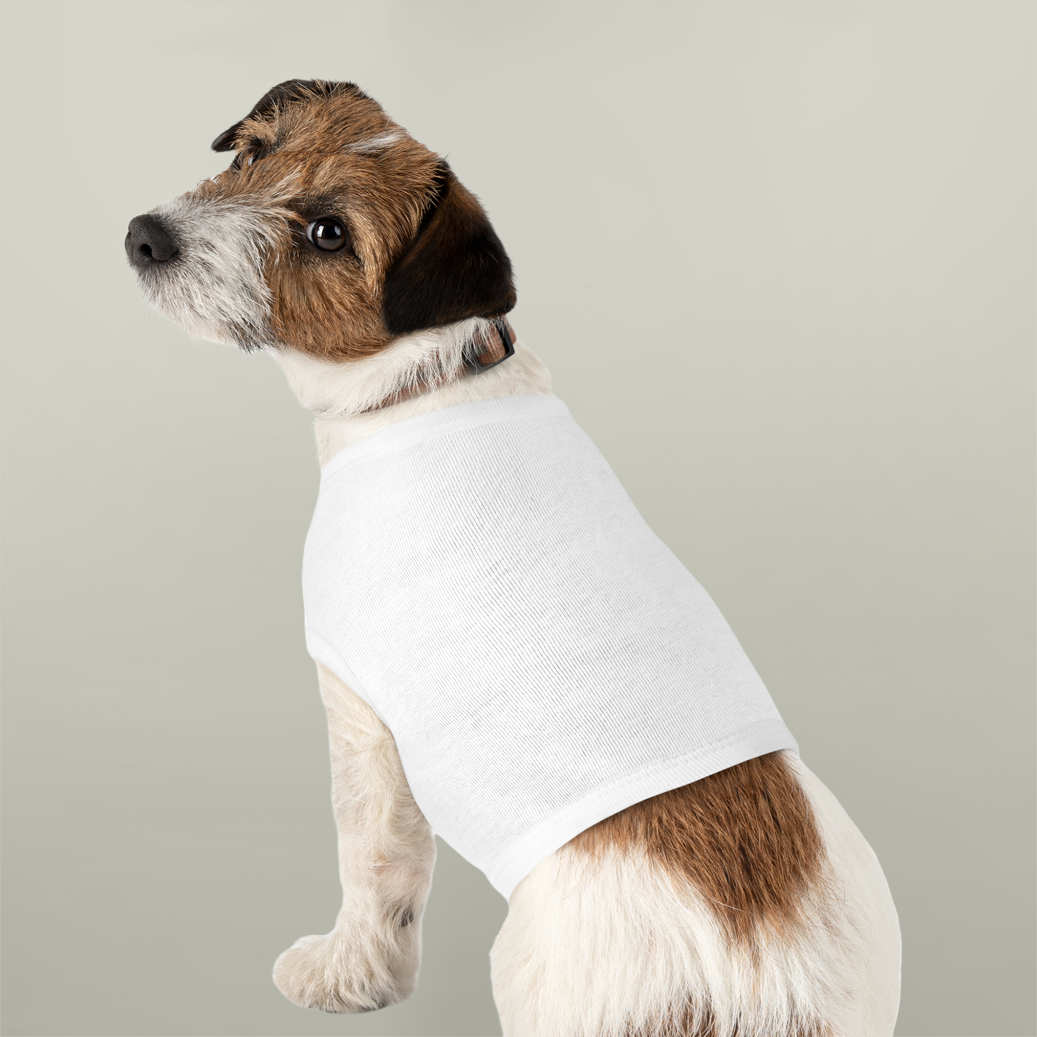 Pet Tank TopDesign