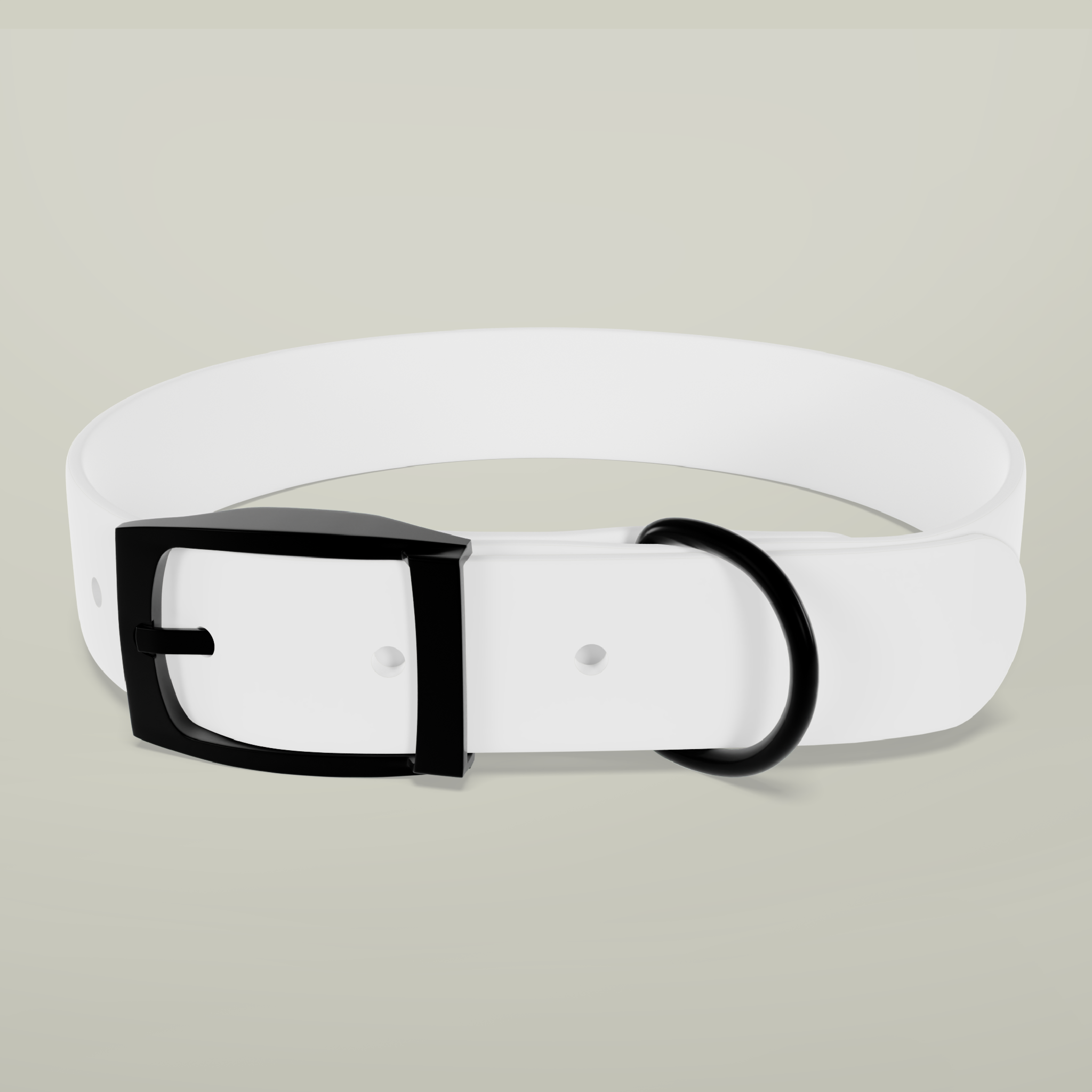 Dog CollarDesign