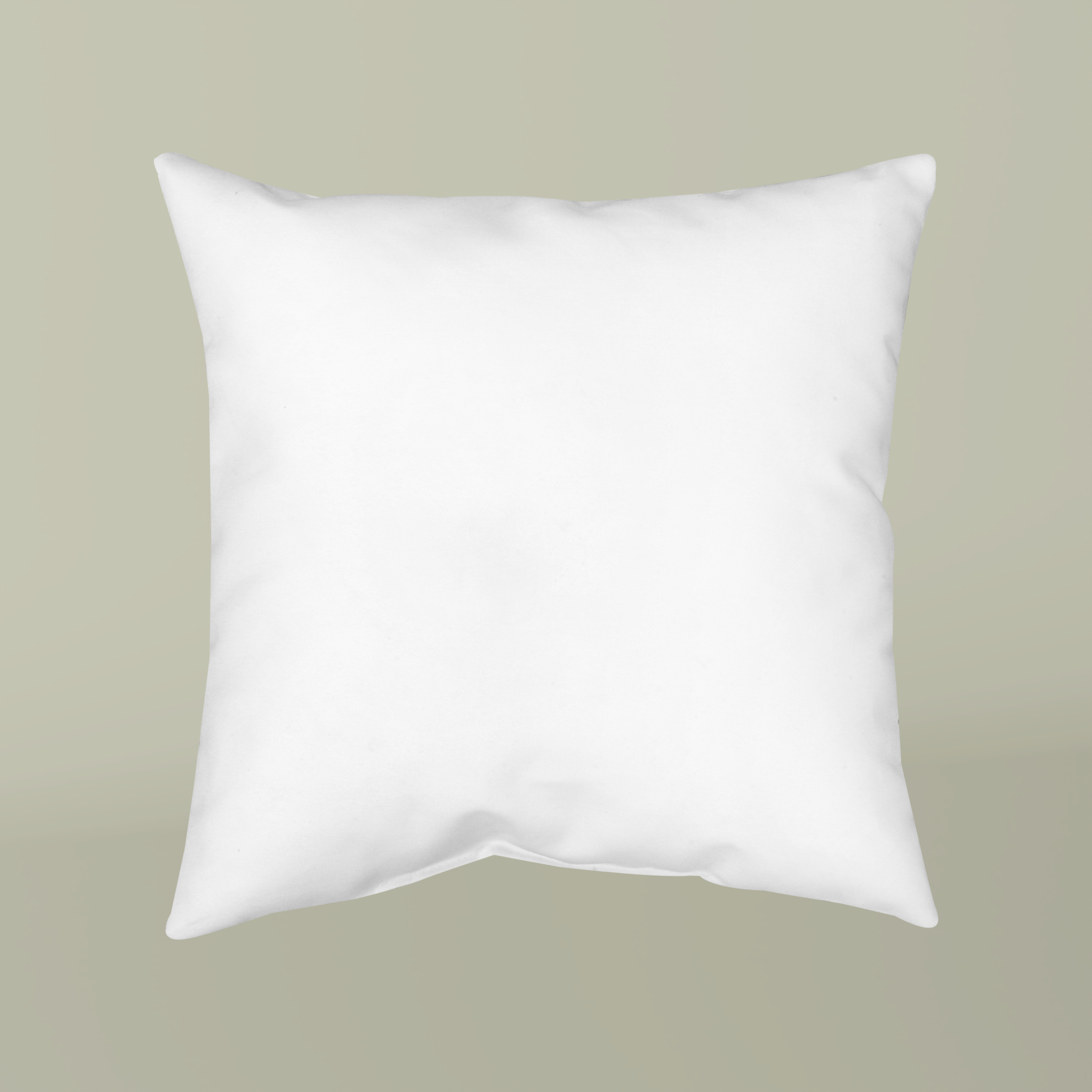Throw Pillow - Main Image