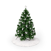 Seasonal Decorations