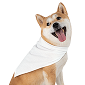 Pets
