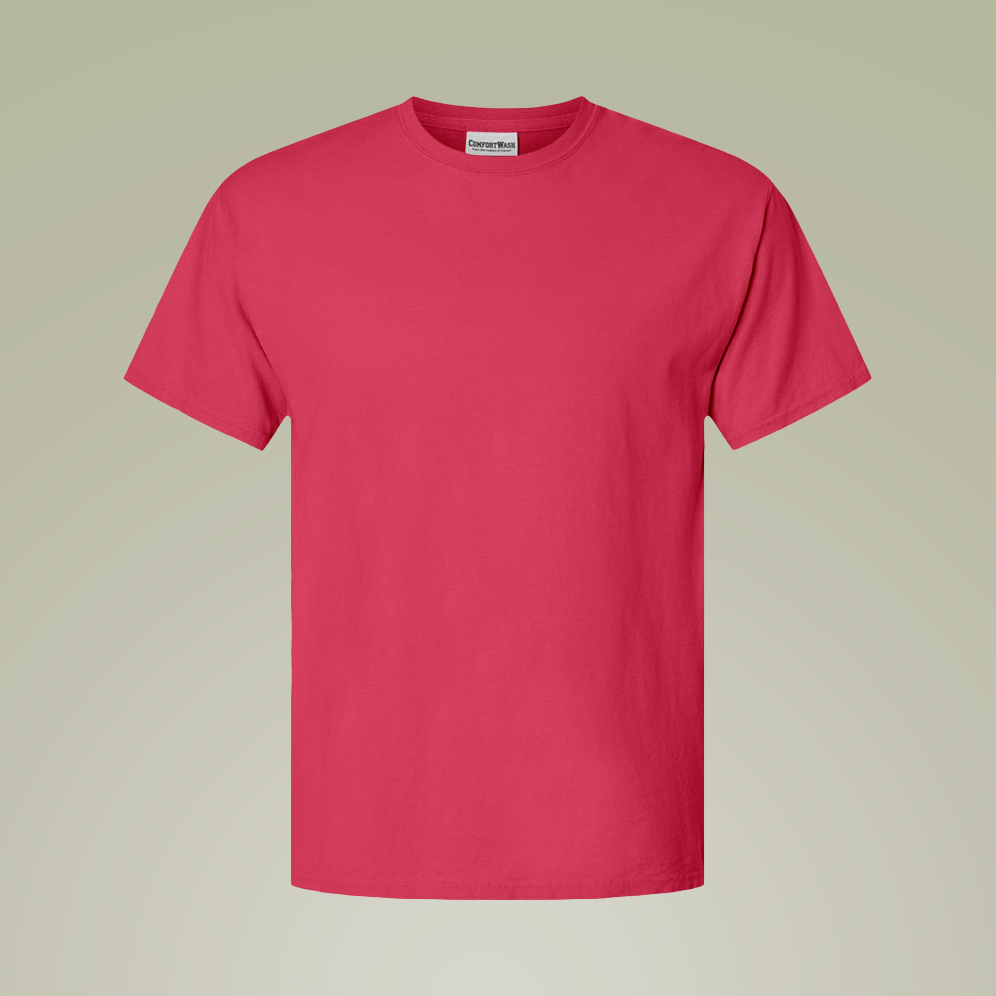 【Paragraph】22SS★ PRG dying washing T-shirt (No.48) Unisex ComfortWash® Garment-Dyed T-Shirt