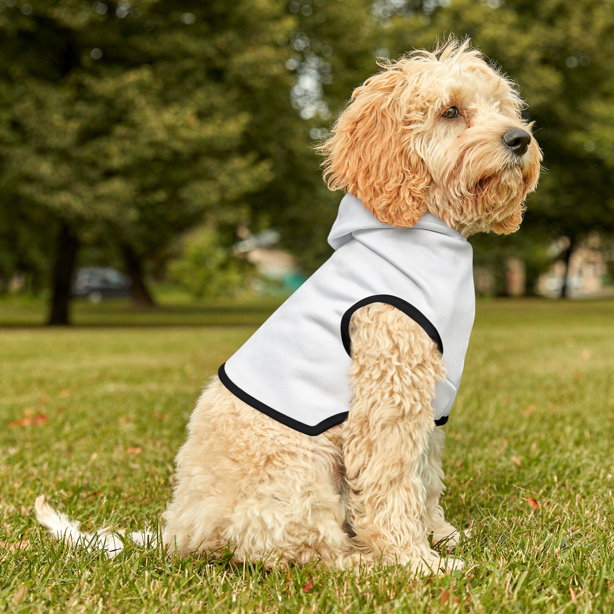 【XU DOG】set up design pigment hoodie Dog Hoodie -Matching dog and human hoodies - Leaky Squeaky