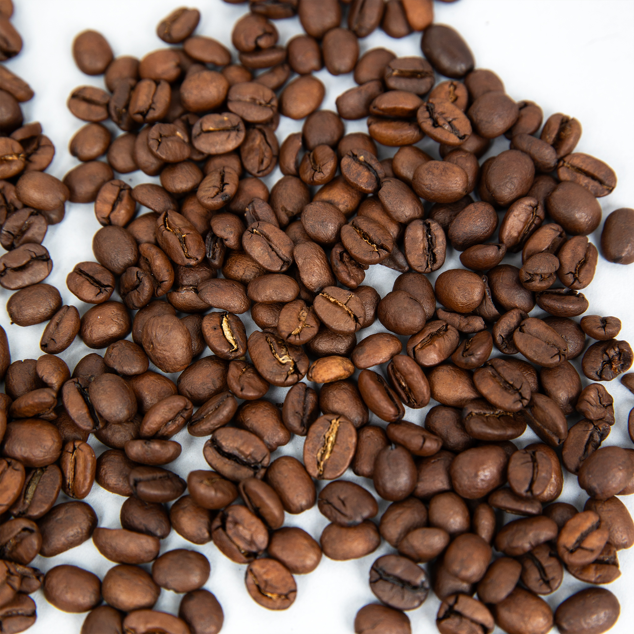 Trapper Peak Decaf Coffee Blend (Medium Roast) - Thumbnail Image