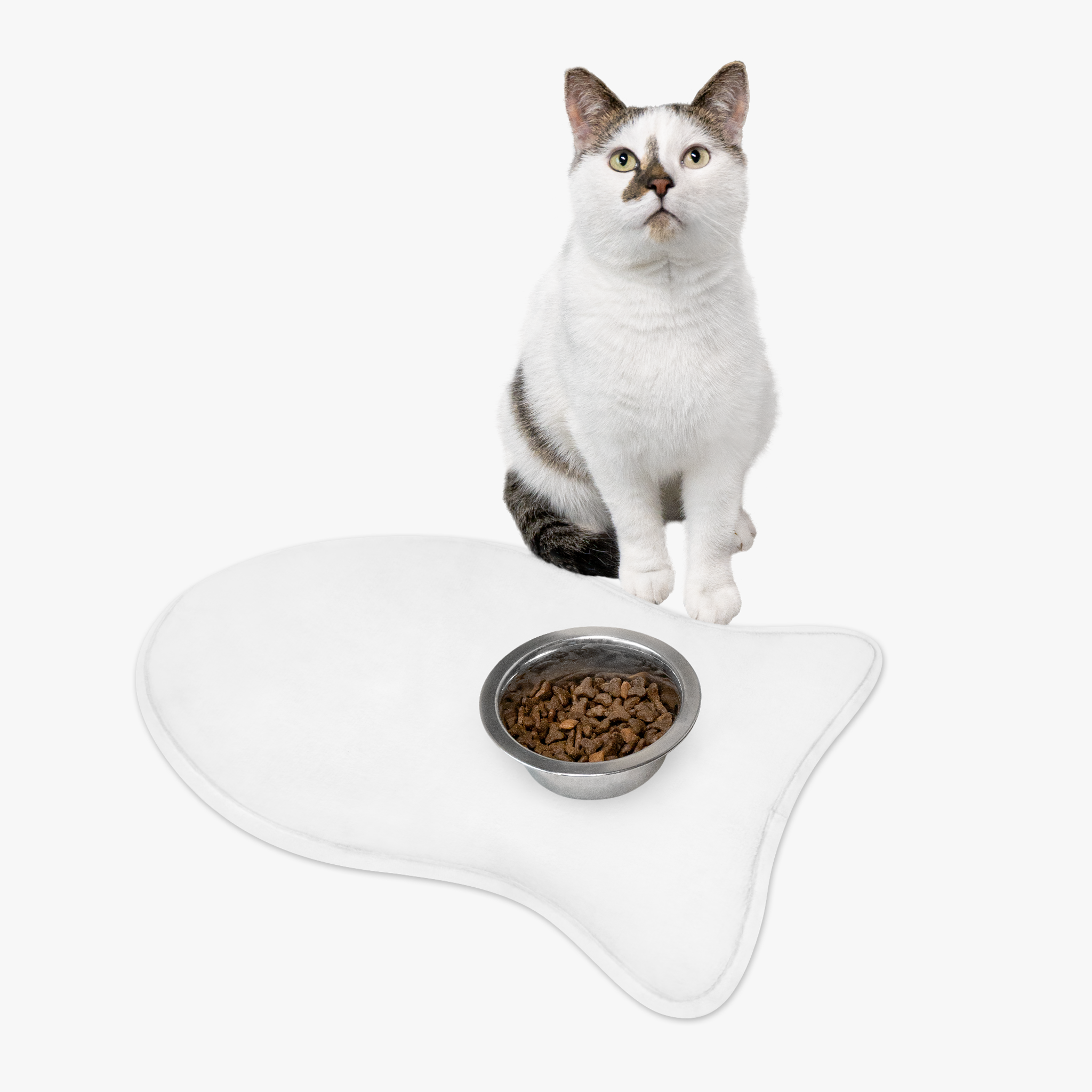 Pet Feeding Mats - Thumbnail Image