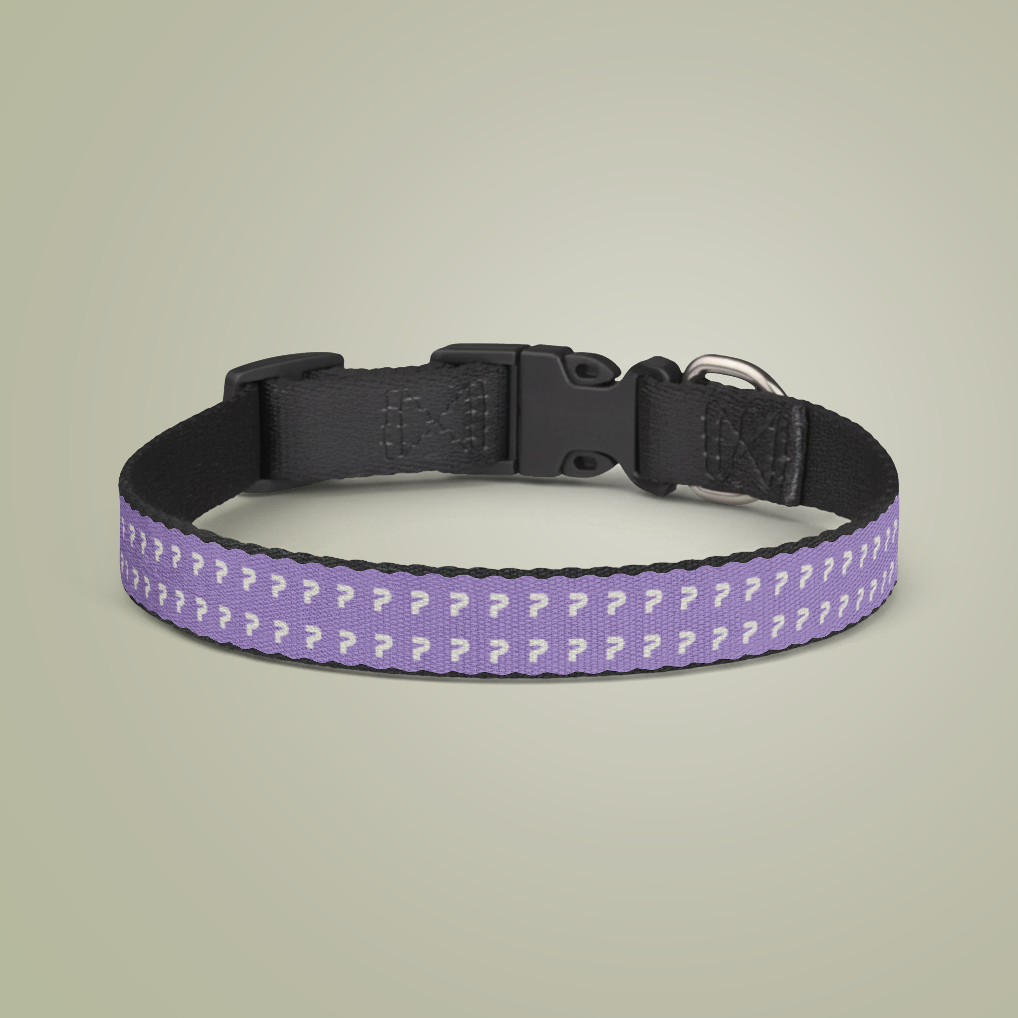 Clip-on Pet Collar