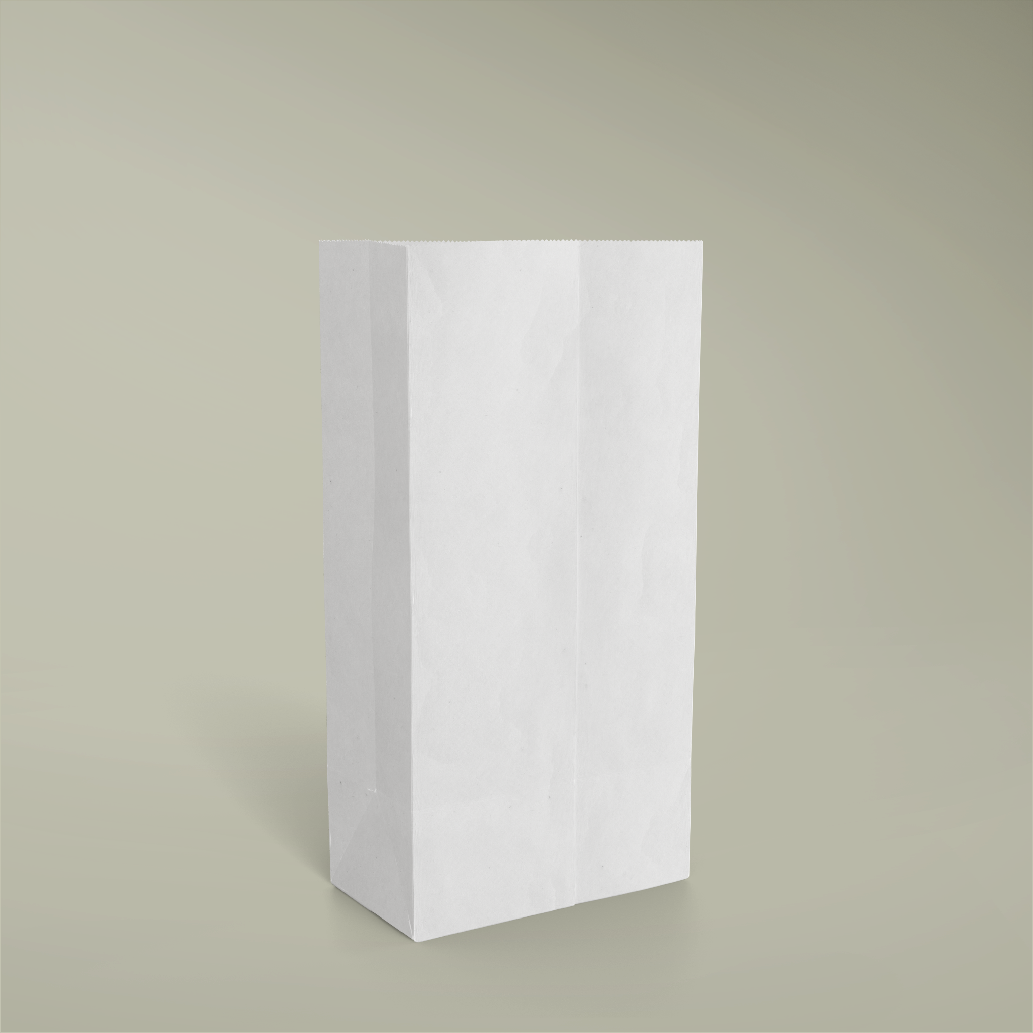 Paper Gift Bag - Thumbnail Image