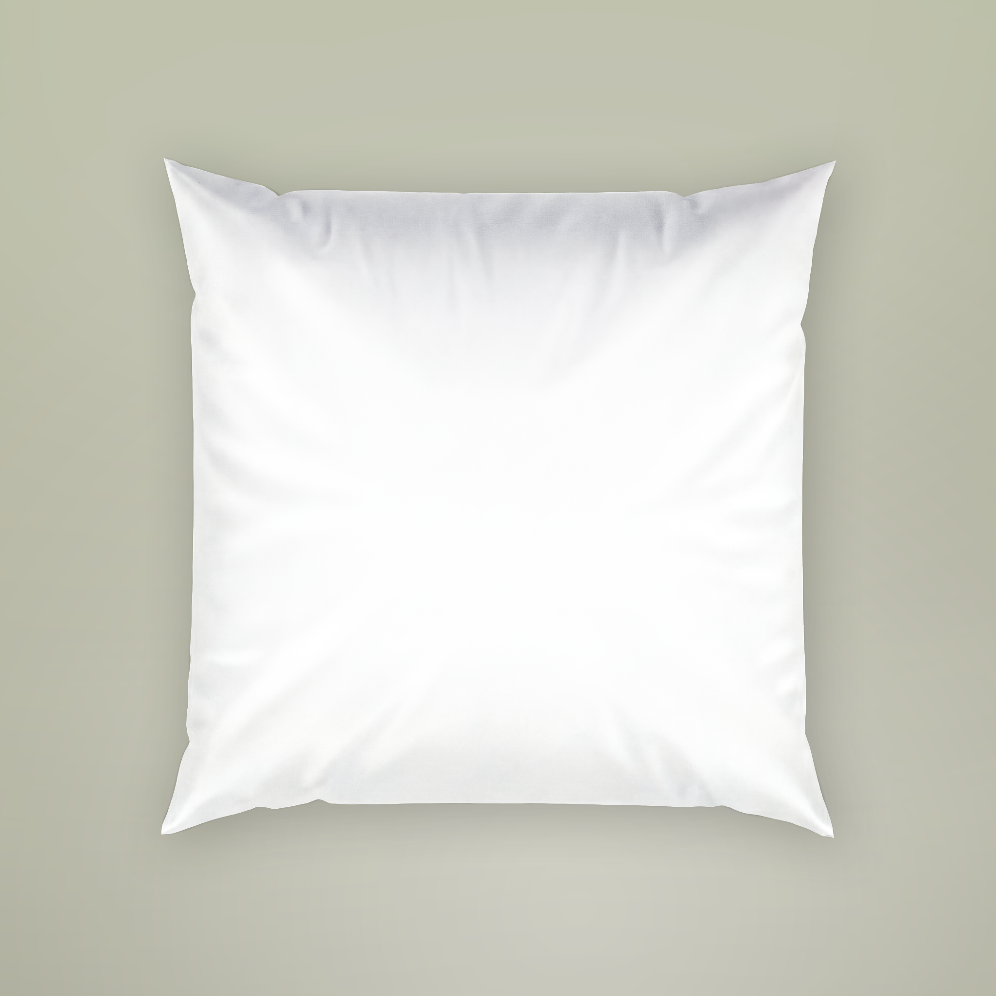 Poly Velvet Pillow - Main Image