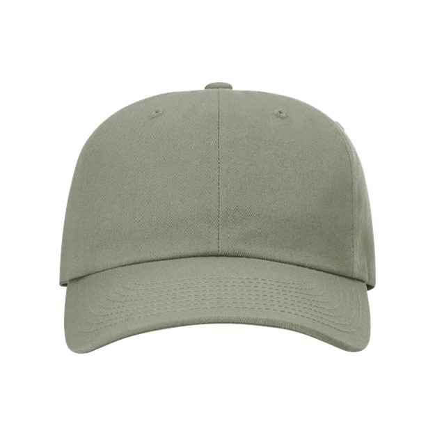 Sustainable Ashland Dad Hat - Main Image