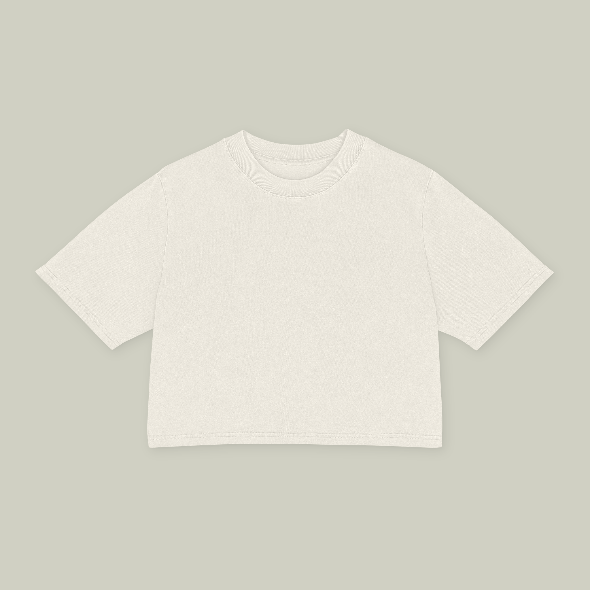Women's Heavy Faded Crop Tee - Main Image