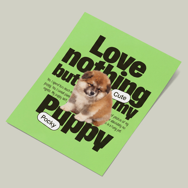 Rolled Posters - Thumbnail Image