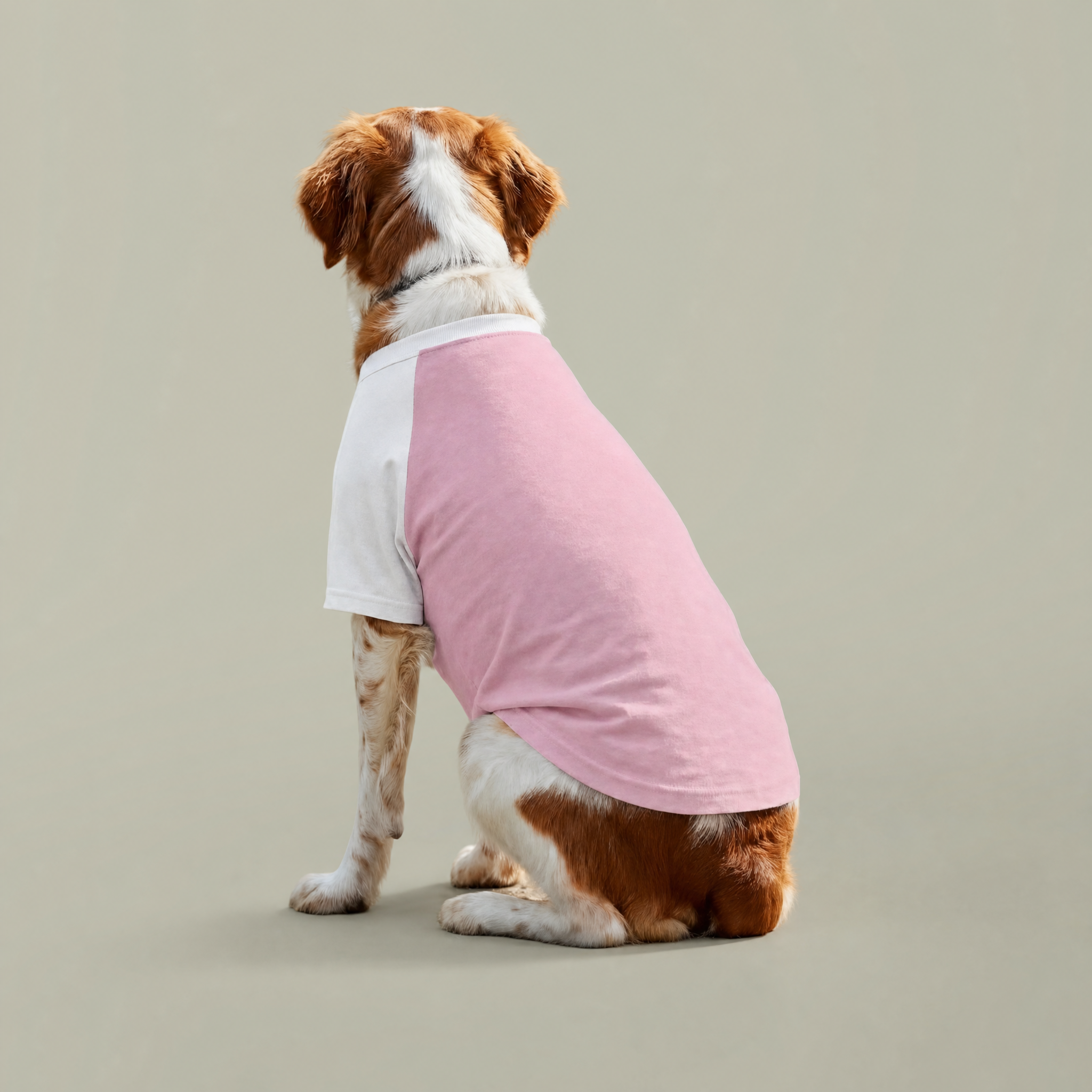Pet Raglan T-shirt - Thumbnail Image