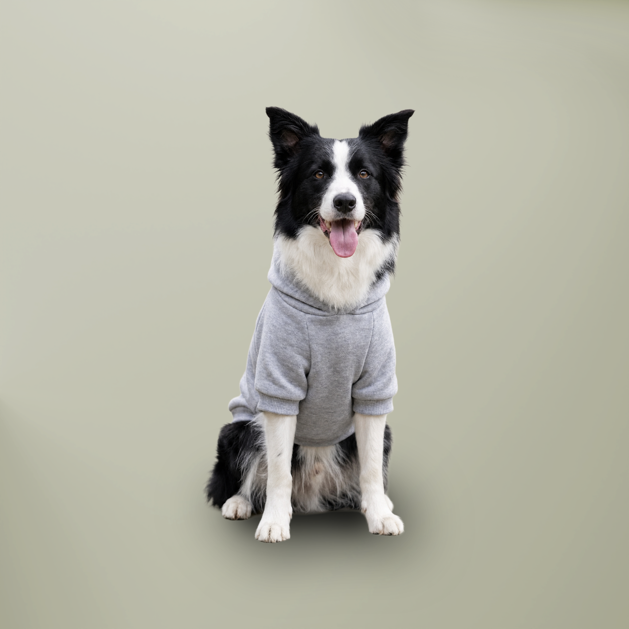 Pet Hoodie with Collar Hole - Main Image