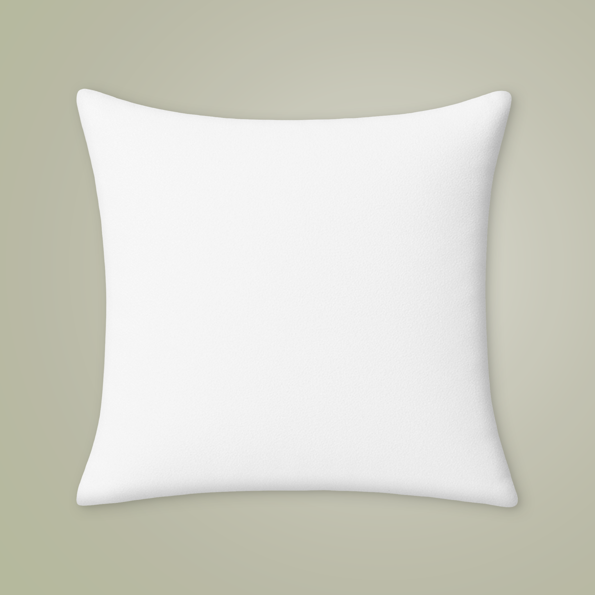 Throw Pillow Case - Main Image