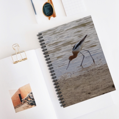 Avocet on the Front of aSpiral Notebook - Ruled Line